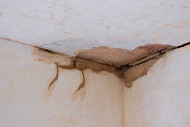 Best Fire Damage Restoration  in Swartz Creek, MI