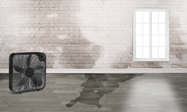 Fire Damage Restoration in MI
