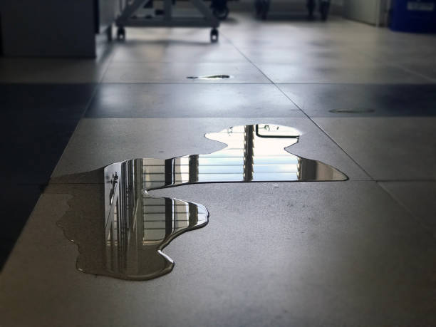 Best Water damage restoration near me  in Swartz Creek, MI