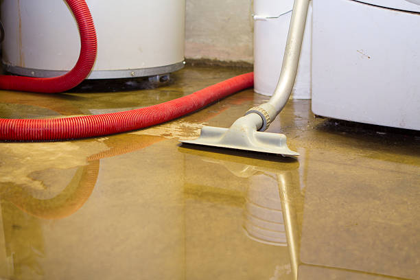 Best Emergency water extraction  in Swartz Creek, MI