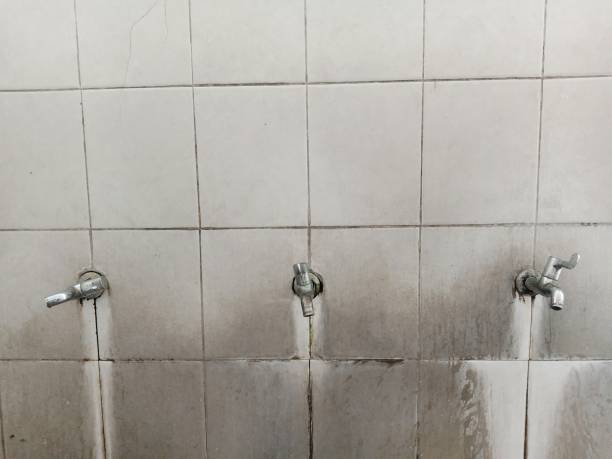 Best Commercial water damage restoration  in Swartz Creek, MI