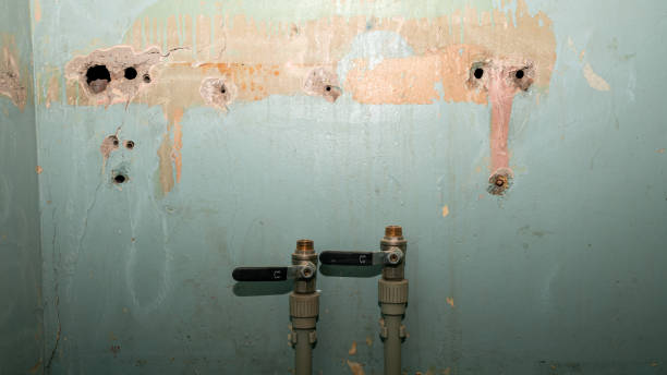 Best Water damage contractors near me  in Swartz Creek, MI