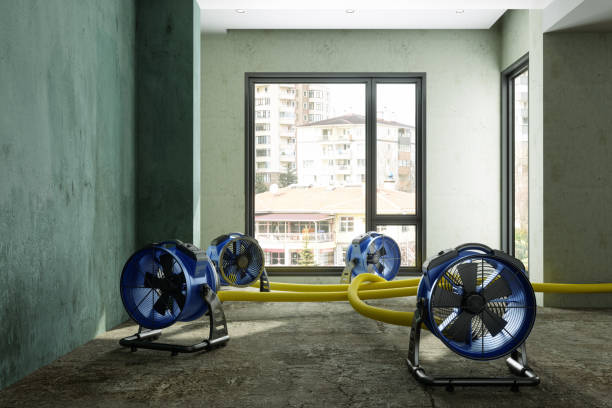 Best Local water damage restoration  in Swartz Creek, MI